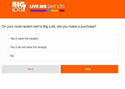 Big Lots Store Experience Survey