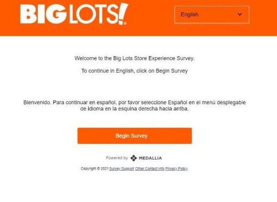 Big Lots Survey